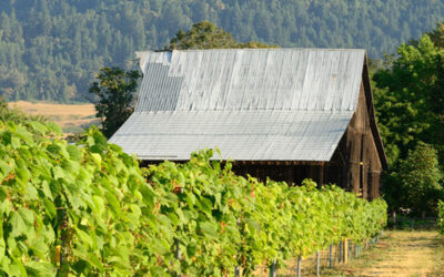Get to Know the Wineries of the Umpqua Valley