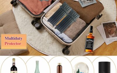 Wine Travel Bags for Wine Bottles Review
